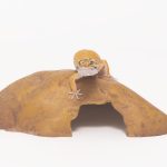 joseferreira_impacto_vetespinho_007