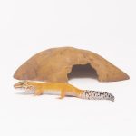 joseferreira_impacto_vetespinho_009