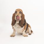 joseferreira_impacto_vetespinho_049