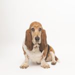 joseferreira_impacto_vetespinho_050